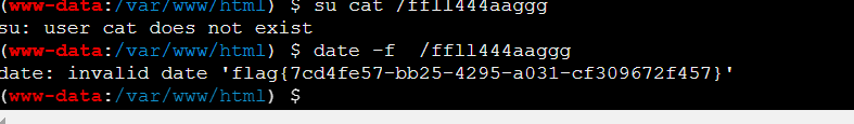 image-20250202230736833